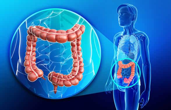 Colon: come depurarlo in modo naturale e facilmente