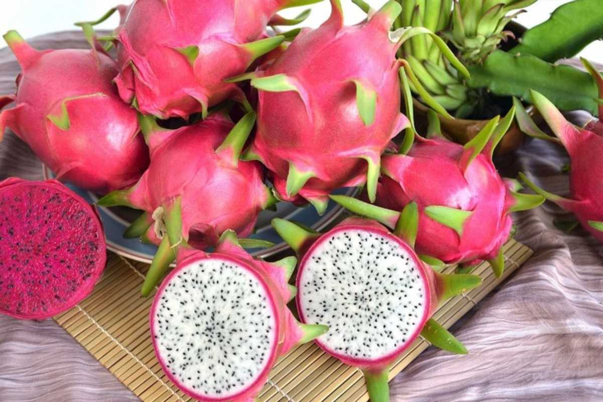 Dragon fruit: le mille proprietà che non ti immagini per la tua salute