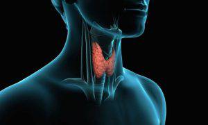 tiroide problemi insonnia nervosismo