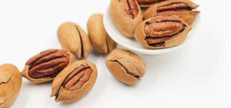 Le noci pecan