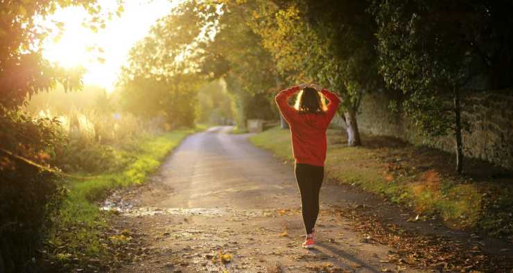 Scegliere un parco come circuito