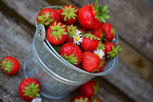 fragole causa