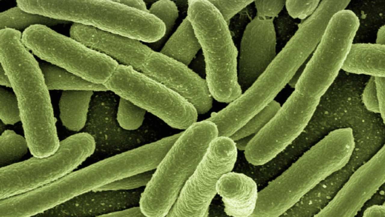 Antibiotico_ la notizia che stupisce tutti