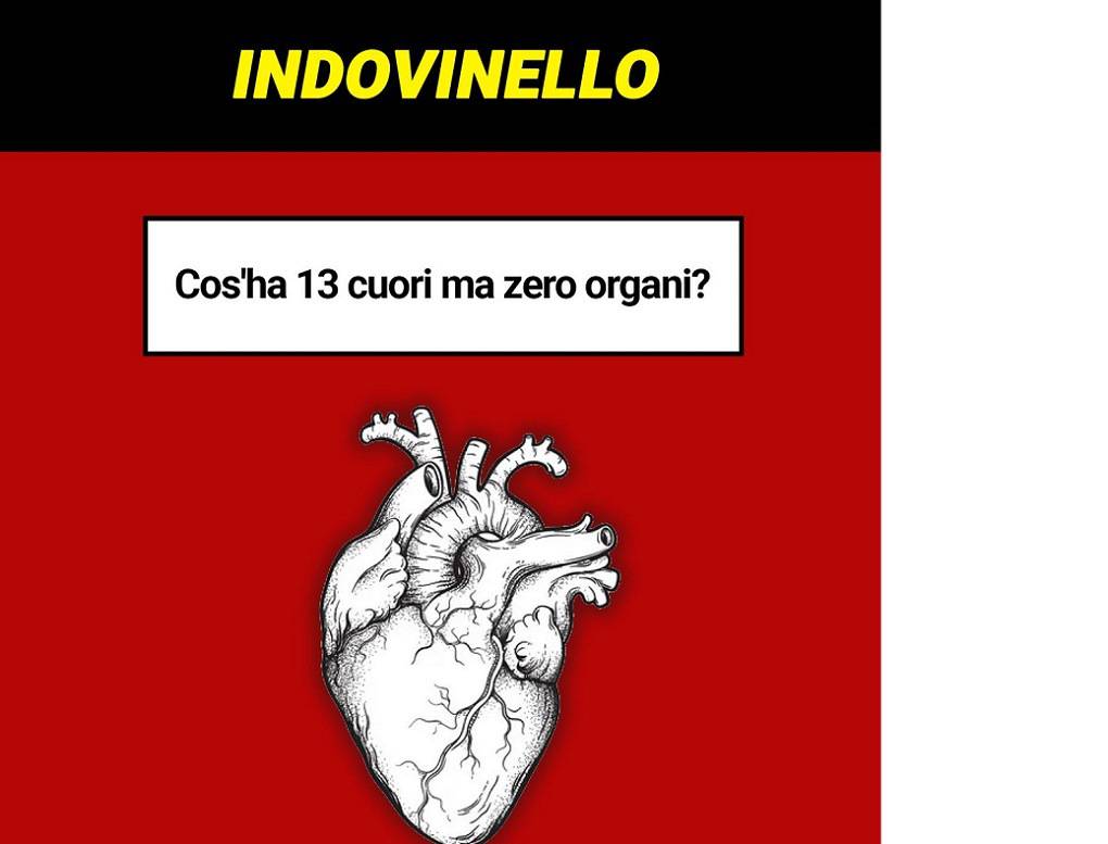 Test: cosa ha 13 cuori ma zero organi?