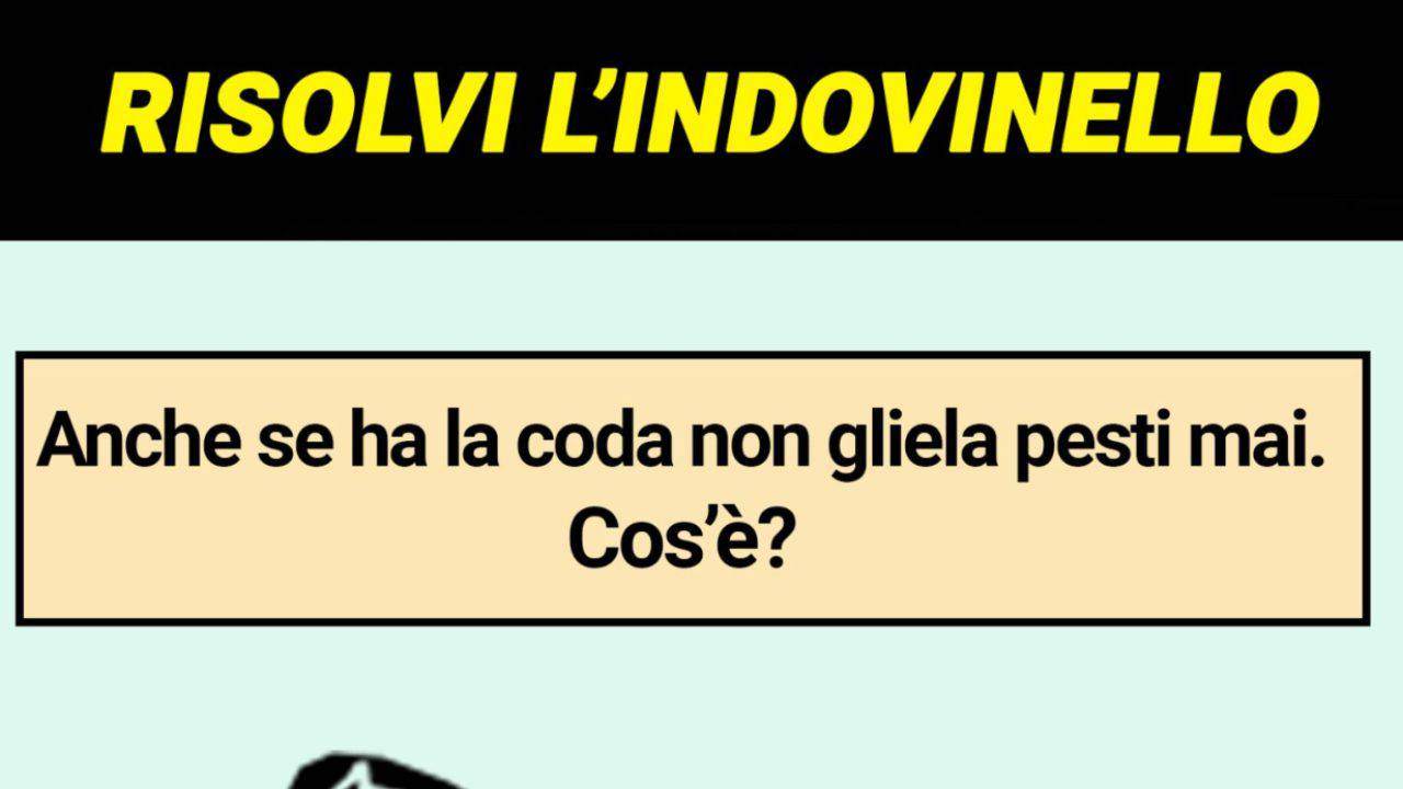 bianco o nero nessuno risponde