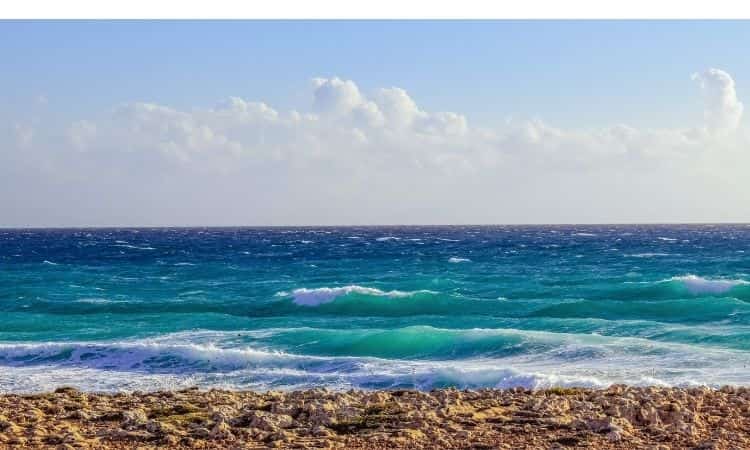 Mare moltissimi benefici salute