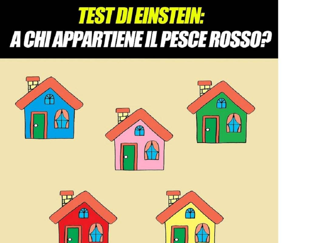 Test logico: sapete dire chi è il proprietario del pesciolino rosso?